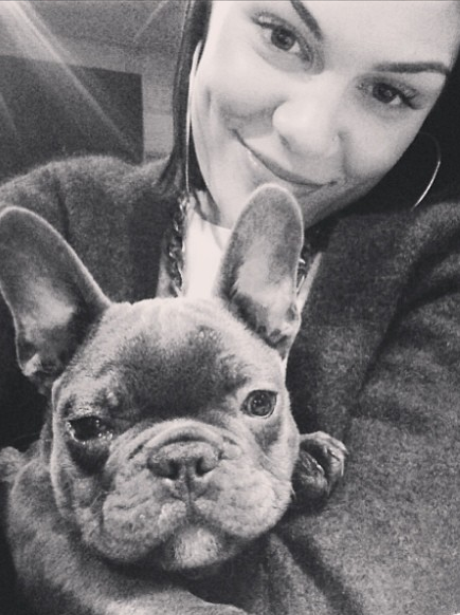 jessie-j-and-dog-twitter-1360754776-view