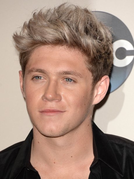 Niall Horan smiles for the cameras as he joined the rest of One ...